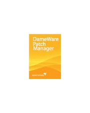 Dameware Patch Manager DPM100